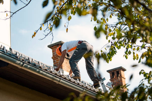 Best Flat Roof Repair Services  in Waverly, MI