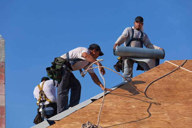 Best Best Roofing Contractors  in Waverly, MI
