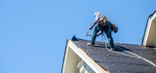 Best Roof Restoration Services  in Waverly, MI